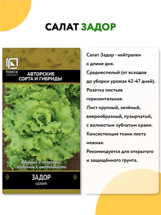 Агрохолдинг ПОИСК Семена салата листового, вариант, фото 6
