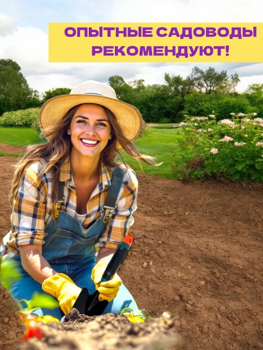 Alisov Store Набор совок и мотыга для огорода, черный, фото 3