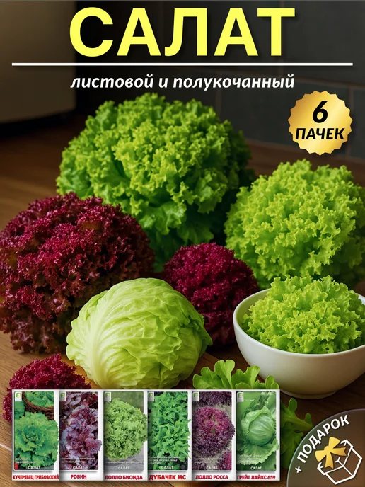ГАВРИШ Семена укропа без зонта на зелень, вариант