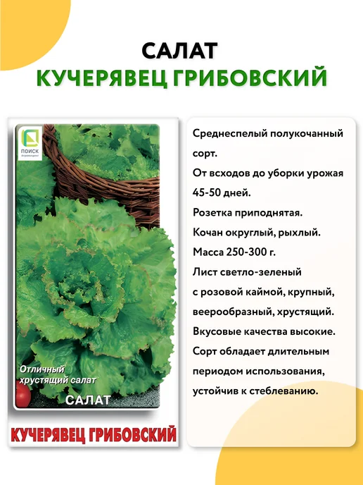 ГАВРИШ Семена укропа без зонта на зелень, вариант, фото 2