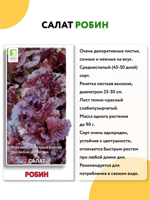 ГАВРИШ Семена укропа без зонта на зелень, вариант, фото 3