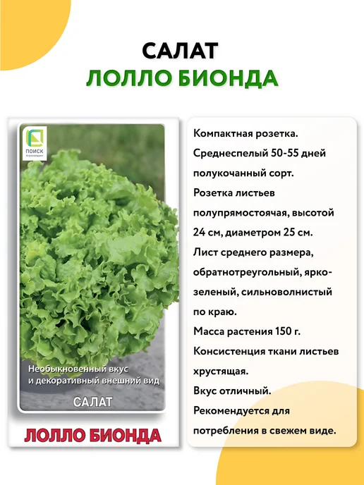 ГАВРИШ Семена укропа без зонта на зелень, вариант, фото 4