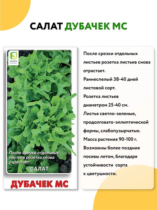 ГАВРИШ Семена укропа без зонта на зелень, вариант, фото 5