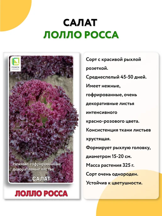ГАВРИШ Семена укропа без зонта на зелень, вариант, фото 6