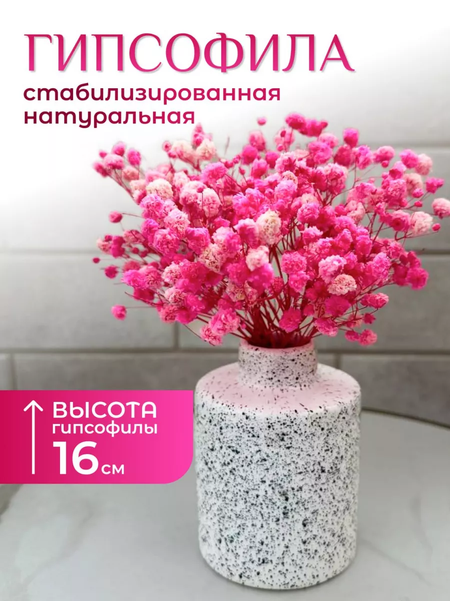 Гипсофила, сухоцветы для творчества и эпоксидной смолы
