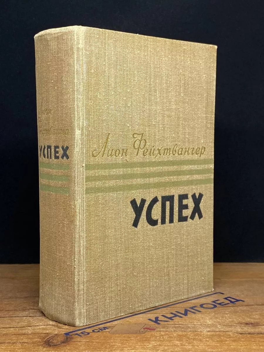 Успех. Три года из истории одной провинции