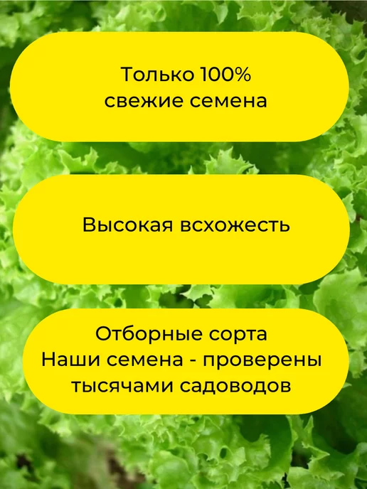 Агрофирма АЭЛИТА Семена капусты брокколи Зеленый вельвет, зеленый, фото 4
