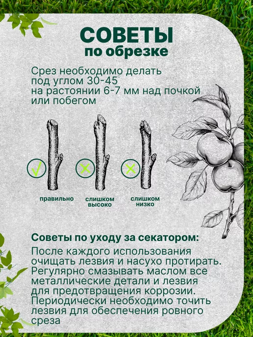 Сервиском Ручной секатор садовый, черный, фото 7