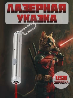 Лазерная указка игрушка для животных кошек собак Отличный 215897957 купить за 225 ₽ в интернет-магазине Wildberries