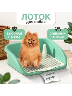 Лоток для собак со столбиком и сеткой TeddyDog 215920042 купить за 1 753 ₽ в интернет-магазине Wildberries