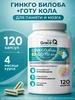Гинкго Билоба и Готу Кола для памяти, мозга в капсулах GraceBioQ 216055682 купить за 401 ₽ в интернет‑магазине Wildberries