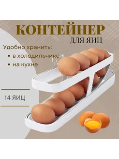 Контейнер для яиц AnigiN 216097183 купить за 339 ₽ в интернет-магазине Wildberries