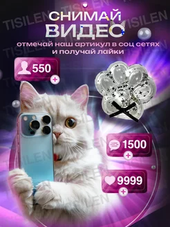 Таба лапка сквиш