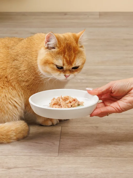 Petmax Миска для кошки, 100мл, 100 мл, фото 4