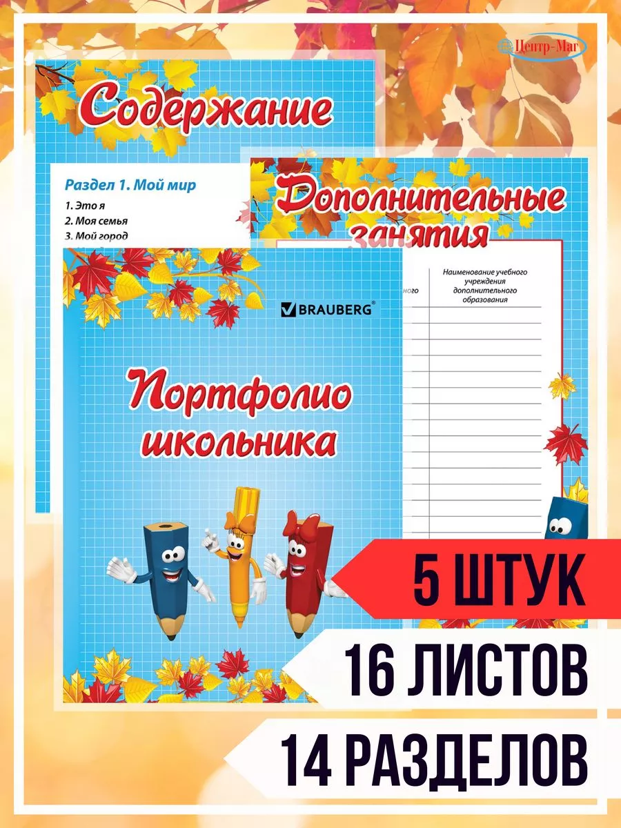 Листы - вкладыши для портфолио школьника 5 шт