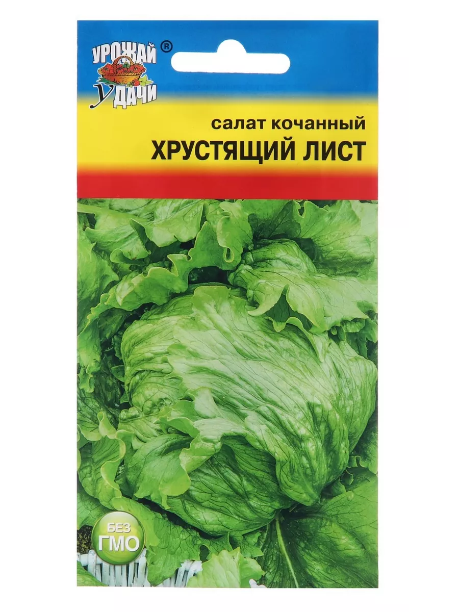 Салат кочанный 