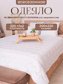 Одеяло всесезонное 200х220 Эвкалипт Евро ЭН-ТЕКС 216416223 купить за 1 566 ₽ в интернет-магазине Wildberries