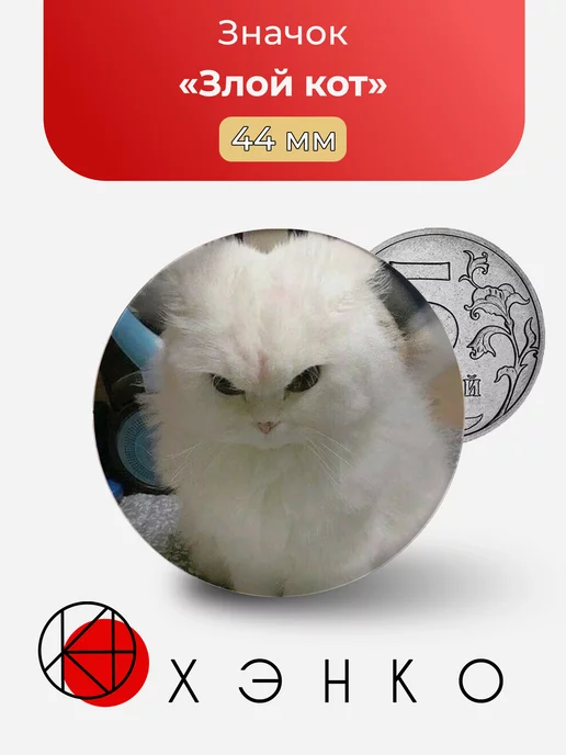 Злой кот