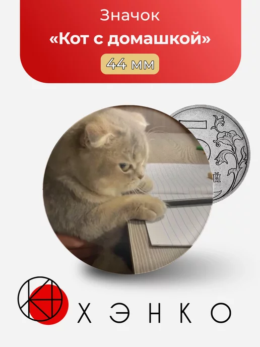 Кот с домашкой