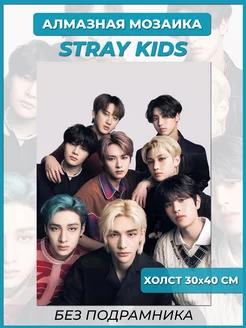 Алмазная живопись Stray Kids Ollivander 216620655 купить за 342 ₽ в интернет-магазине Wildberries