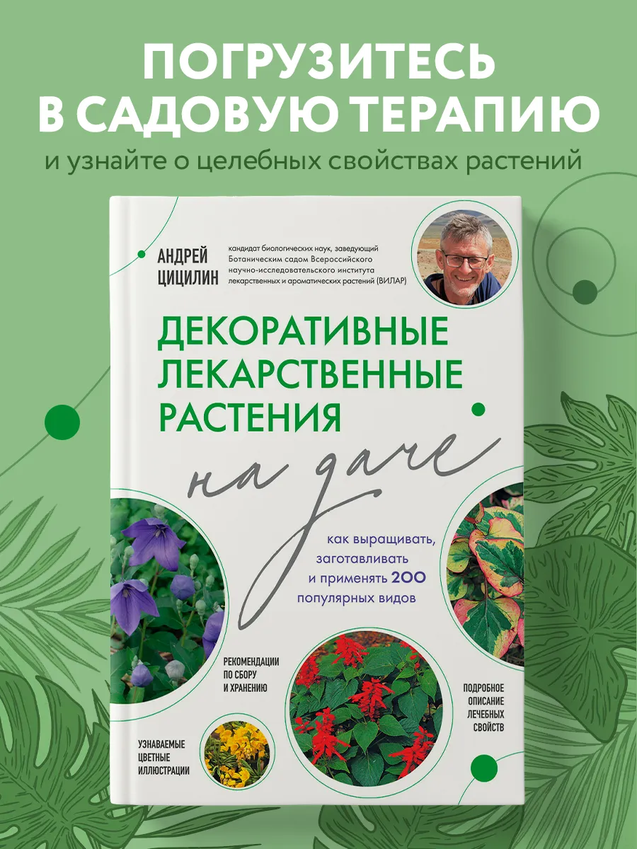 Декоративные лекарственные растения на даче. Как выращивать,