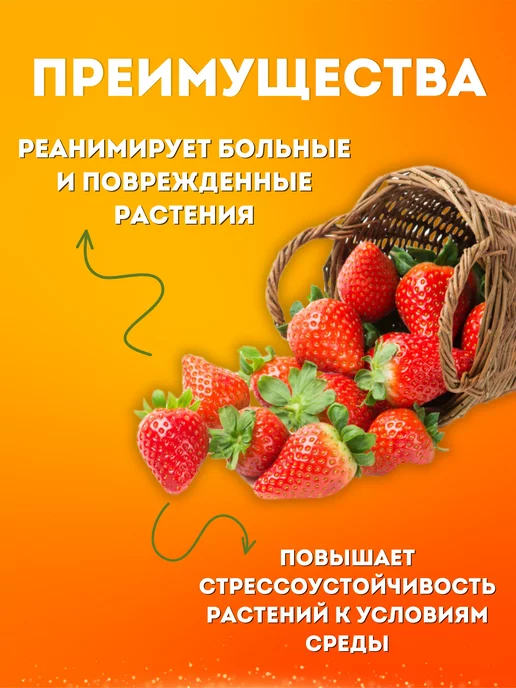 VIVARUSSIA Удобрение Янтарная кислота стимулятор роста растений, 50 г, 50 г, фото 4
