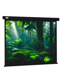 Экран для проектора Wallscreen CS-PSW-213X213-BK Cactus 216721828 купить за 8 695 ₽ в интернет-магазине Wildberries