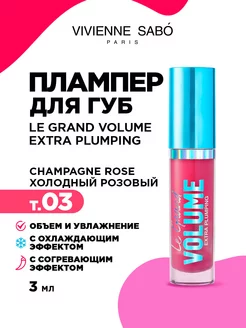 Плампер для губ Le Grand Volume тон 03 холодный розовый Vivienne Sabo 216725796 купить за 428 ₽ в интернет-магазине Wildberries