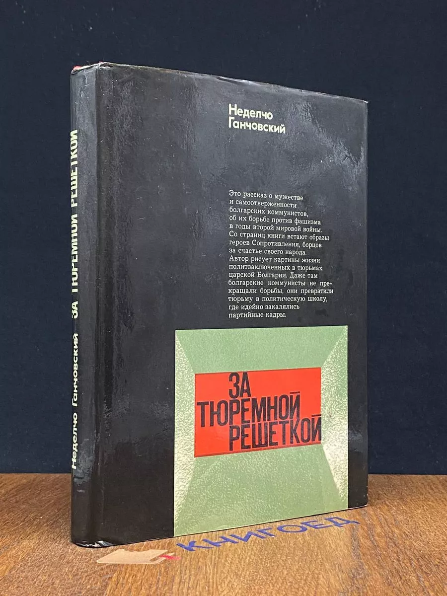 За тюремной решеткой. Воспоминания и размышления