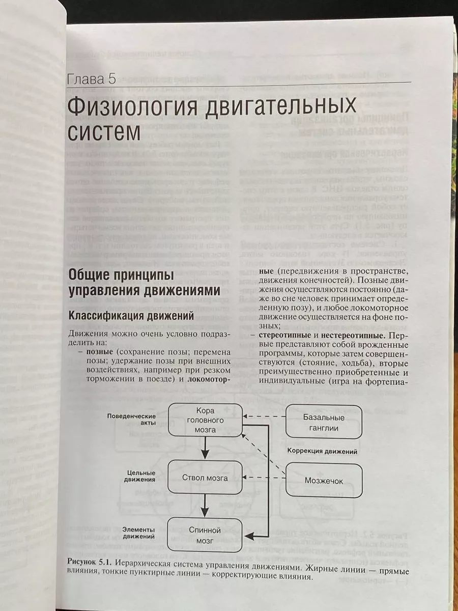 Основы медицинской физиологии. Алипов . Практика 216790905 купить в  интернет-магазине Wildberries