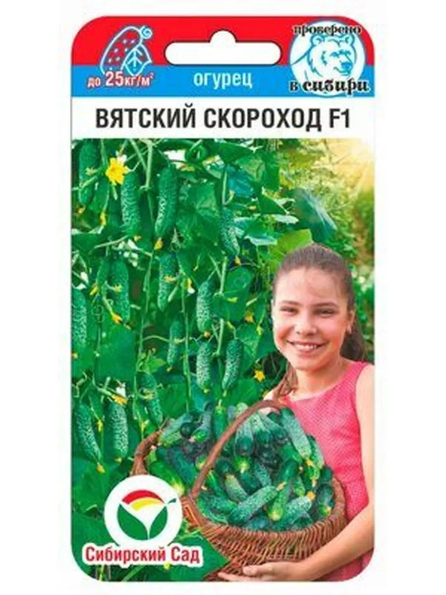 Огурец скороход f1. Огурец скороход. Огурцы скороход. Огурец сибирский изумруд отзывы. Огурцы скороход.
