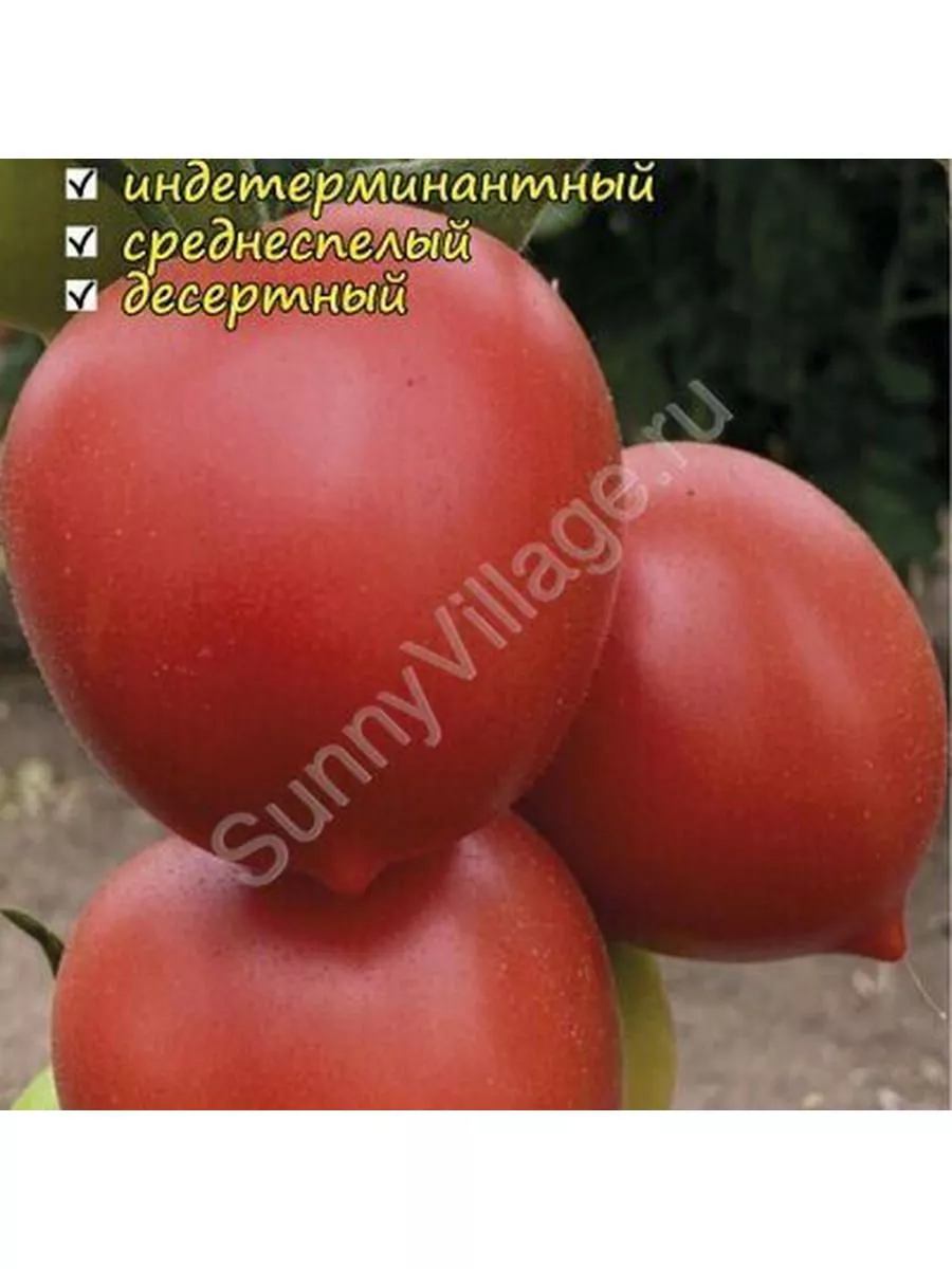 Помидоры Сызранские Розовые Купить Семена