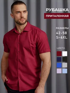 Рубашка классическая с коротким рукавом летняя OSSBORN 216901087 купить за 948 ₽ в интернет-магазине Wildberries