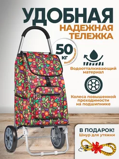 Сумка тележка Carro 216977402 купить за 3 325 ₽ в интернет-магазине Wildberries