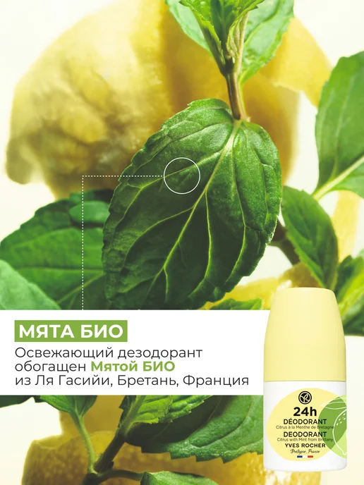 Yves Rocher Дезодорант женский шариковый Цитрусовая свежесть с мятой, 50 мл, фото 4