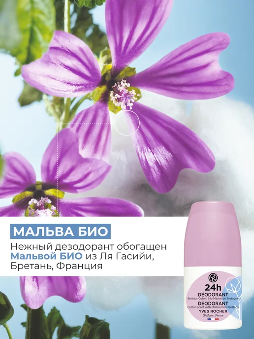 Yves Rocher Дезодорант женский шариковый Аромат хлопка с мальвой, 50 мл, фото 4