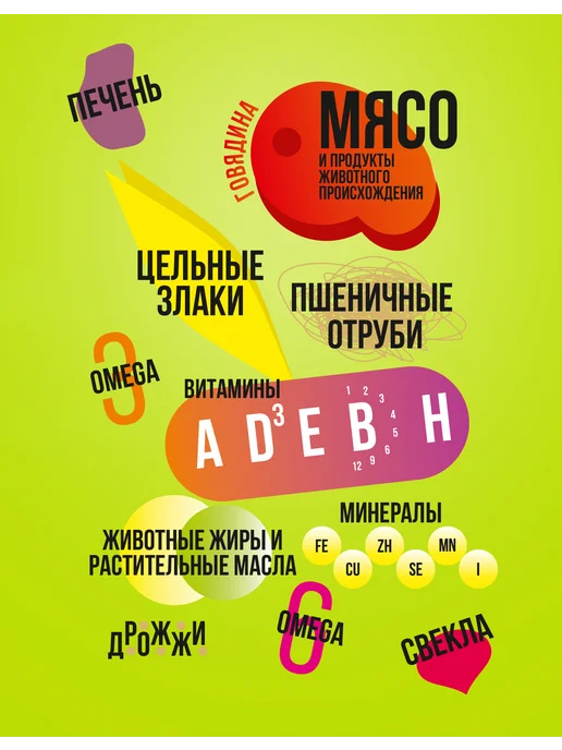 Сухой корм EDOGS для собак, говядина, 15 кг, фото 2