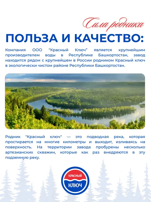 Красный ключ Напиток газированный со вкусом "Тархун", 6 шт по 1,5л, 6 шт, 1,5 л, фото 4