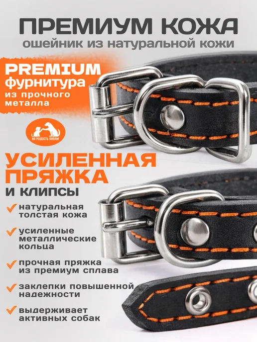 dogdogs Ошейник для собак мелких и средних пород, черный, фото 2