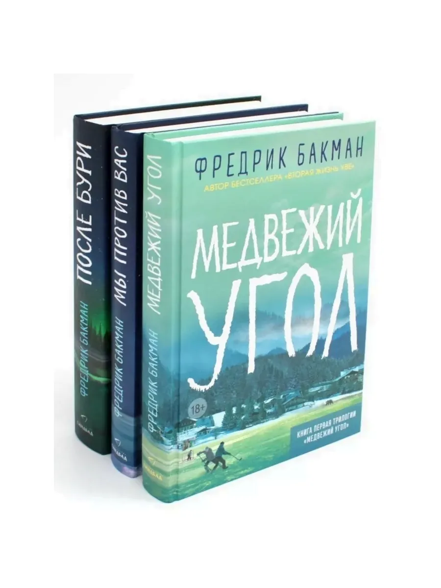 Медвежий угол ; Мы против вас ; После бури (комплект из ... Издательство  СИНДБАД 217169973 купить за 3 152 ₽ в интернет-магазине Wildberries