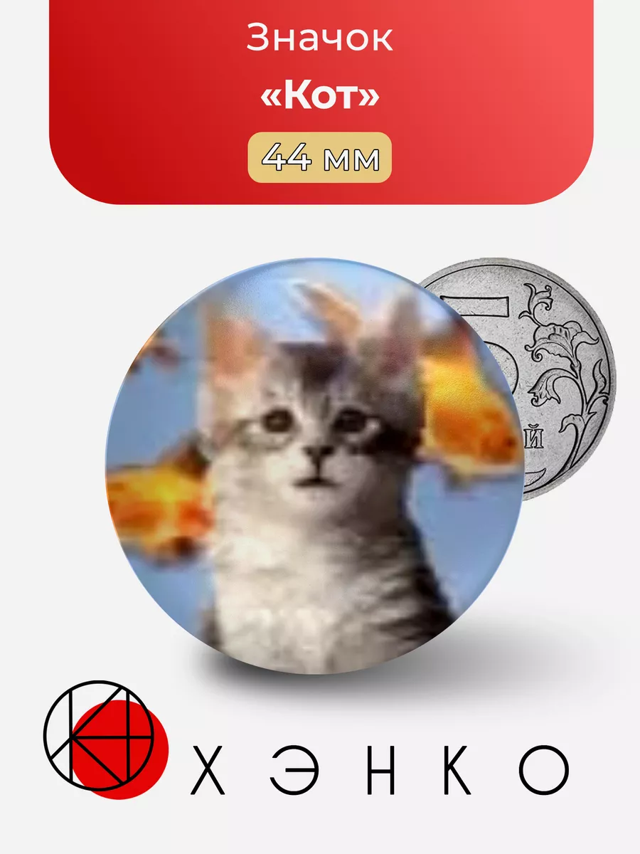 Кот