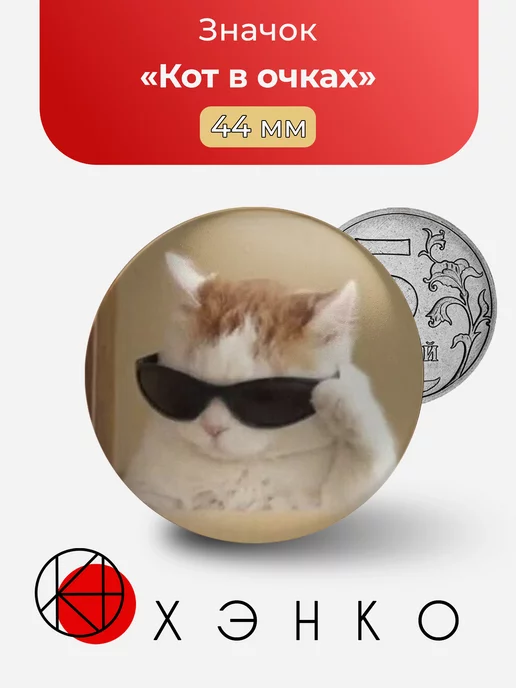 Кот в очках