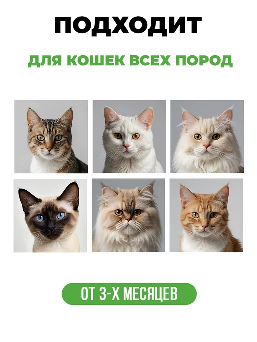 Spets Шампунь для кошек и котов, котят, гипоаллергенный, 250 мл, 250 мл, фото 4