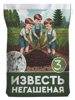 Известь негашеная, удобрения для растений огорода и сада ЭкспертБиоОрганик 217362383 купить за 323 ₽ в интернет‑магазине Wildberries