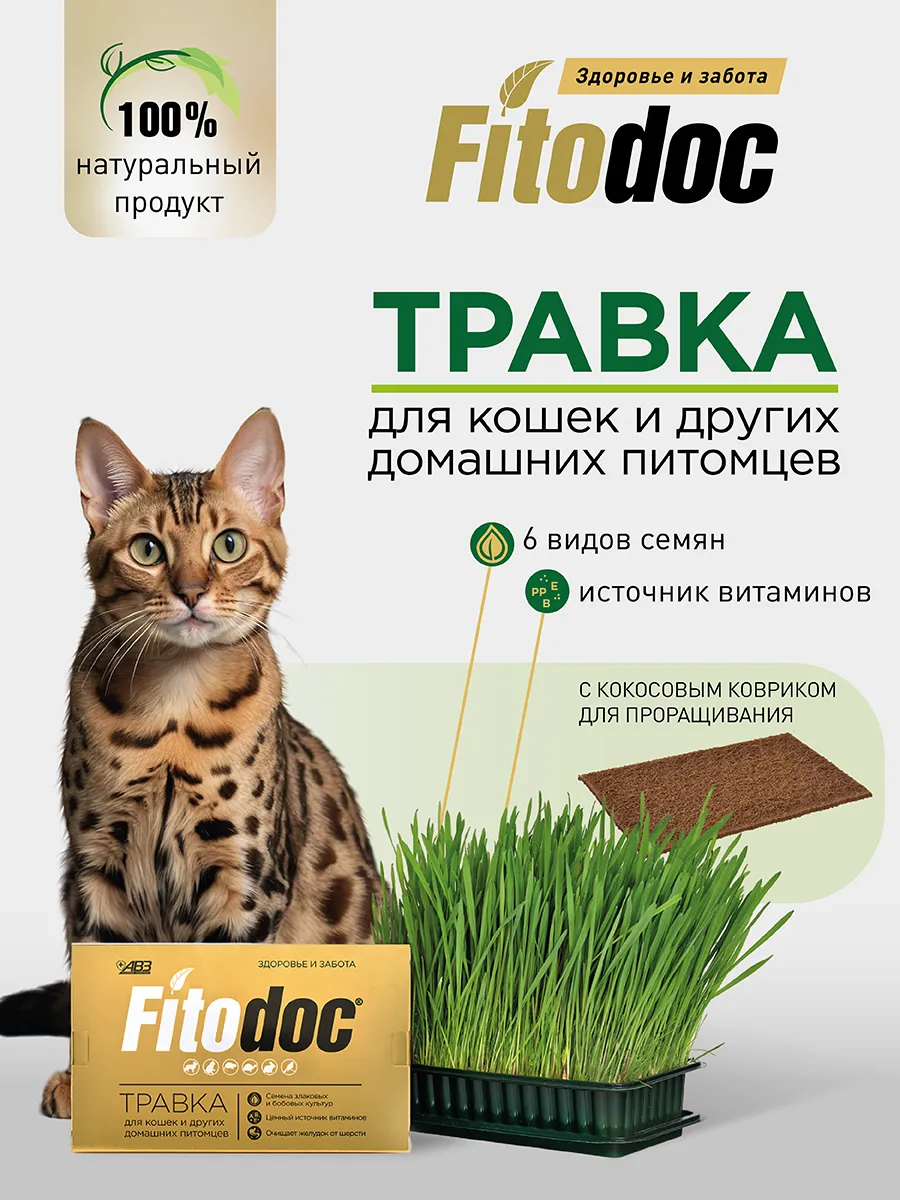 Набор для проращивания трава для кошек и грызунов