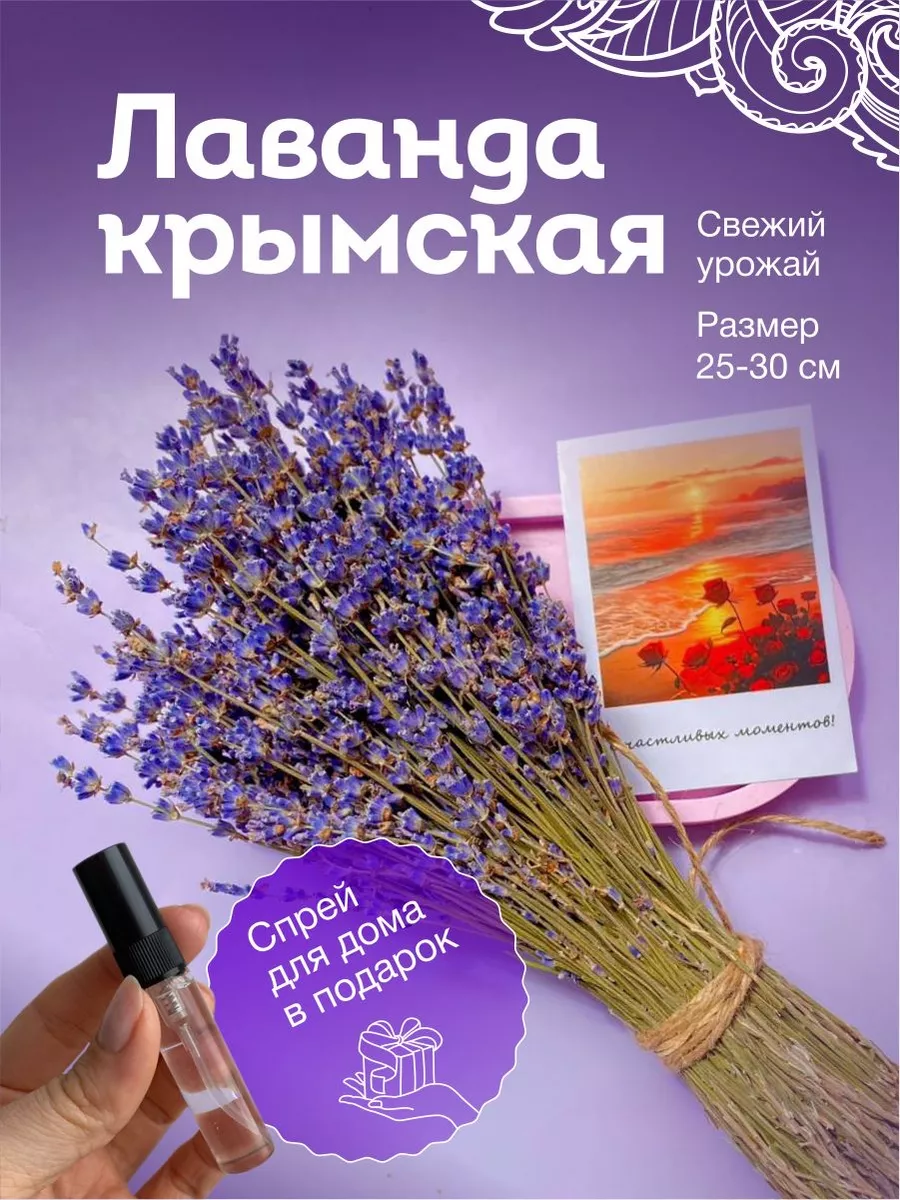Сухоцветы для декора букет...
