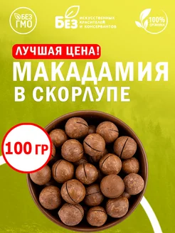 Макадамия в скорлупе отборный 100 гр. Свежий урожай Орех 3А ABCNUTS 217519228 купить за 187 ₽ в интернет-магазине Wildberries