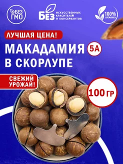 Макадамия в скорлупе отборный 100 г Орехи 5А ABCNUTS 217524278 купить за 197 ₽ в интернет-магазине Wildberries