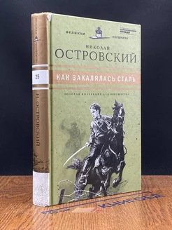 Как закалялась сталь Амфора 217529323 купить за 176 ₽ в интернет-магазине Wildberries