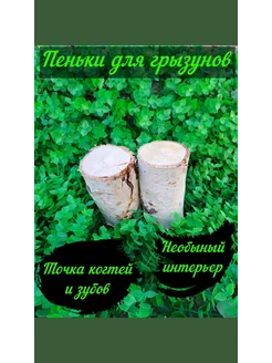 Отзывы на Пенек, зуботочка, интерьер в клетке ЧИБИС96 217595486 в интернет‑магазине Wildberries.ru
